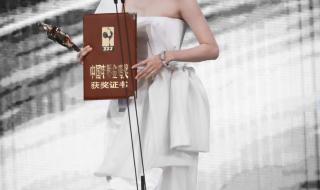 第34届中国电影金鸡奖